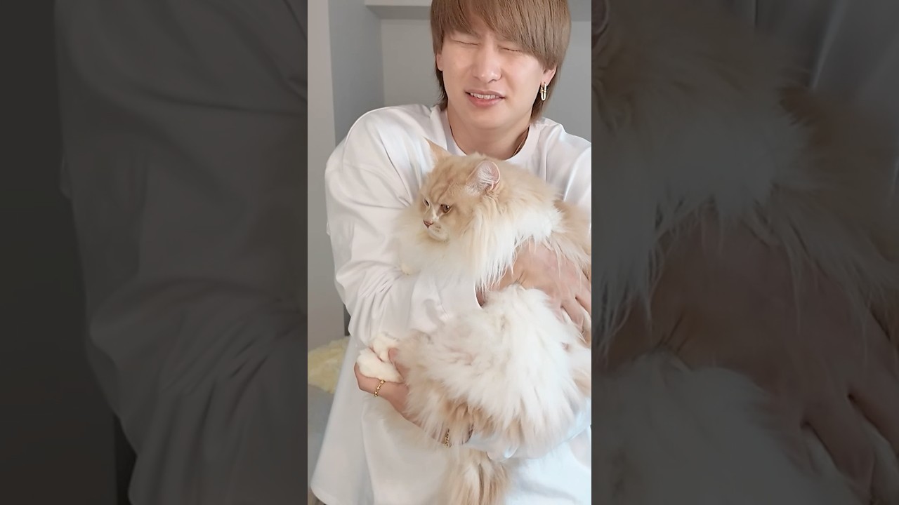 Daiki does something crazy with his cat #Mr. Daiki #PokemonCard