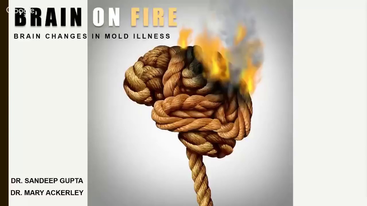 Brain On Fire Maladie Brain on Fire Webinar - Brain Changes in Mold Illness with Dr. Mary