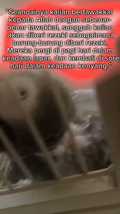 Burung #janganlupaberbuatbaik #jaranan#setiapyangkulakukanuntukdirimu#melayanilebihcepatdanlebihbaik