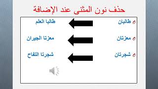 المثنى نون دائما الاسم المفرد والمثنى