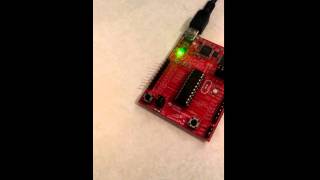 Blink Red and Green LED's Simultaneously
