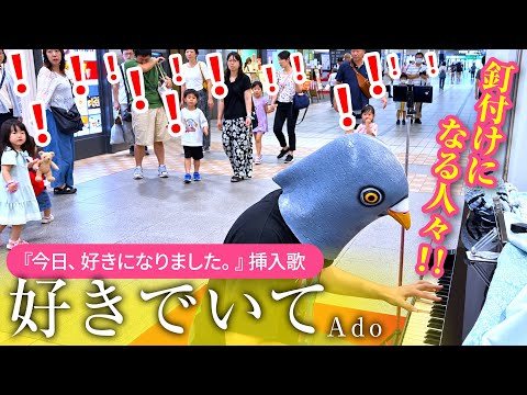 【Ado】『好きでいて』を鳩がストリートピアノで弾いてみた!!【今日、好きになりました。挿入歌】