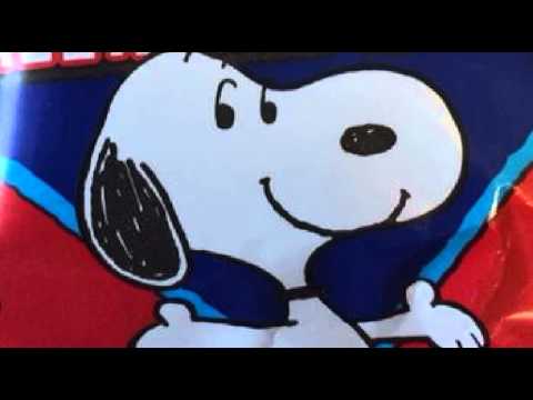 [everysing] ハマナスの花