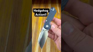 This Vosteed Hedgehog Action is ADDICTIVE! 🦔💥