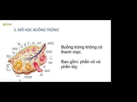 Học thử: Ôn thi Sản phụ khoa Thạc sĩ, chuyên khoa 1 - Đại học Y Dược Tp HCM - youtube