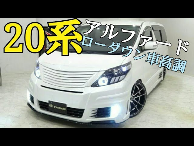 20系アルファード カスタム例 複数車両 車高調 ローダウン ドレス
