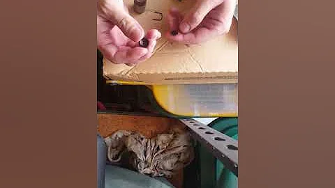 Make a hydraulic lifter solid