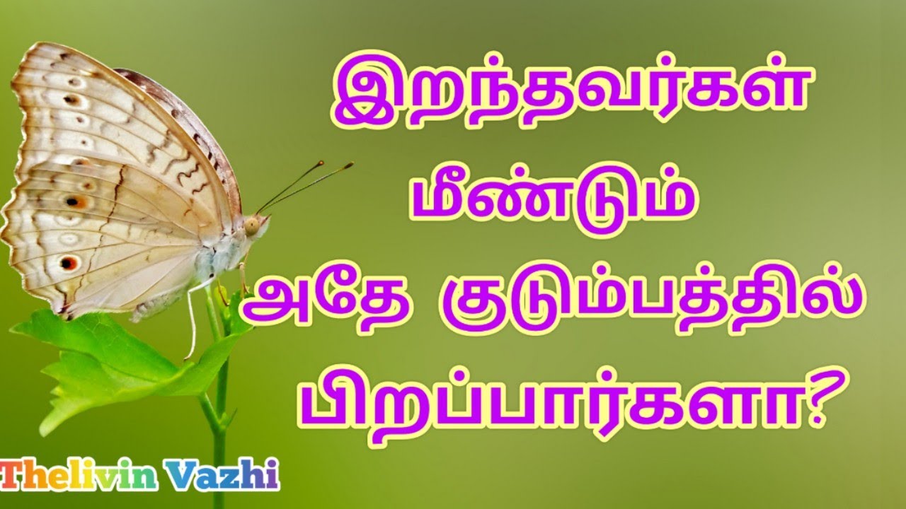 இறந்தவர்கள் மீண்டும் அதே குடும்பத்தில் பிறப்பார்களா?