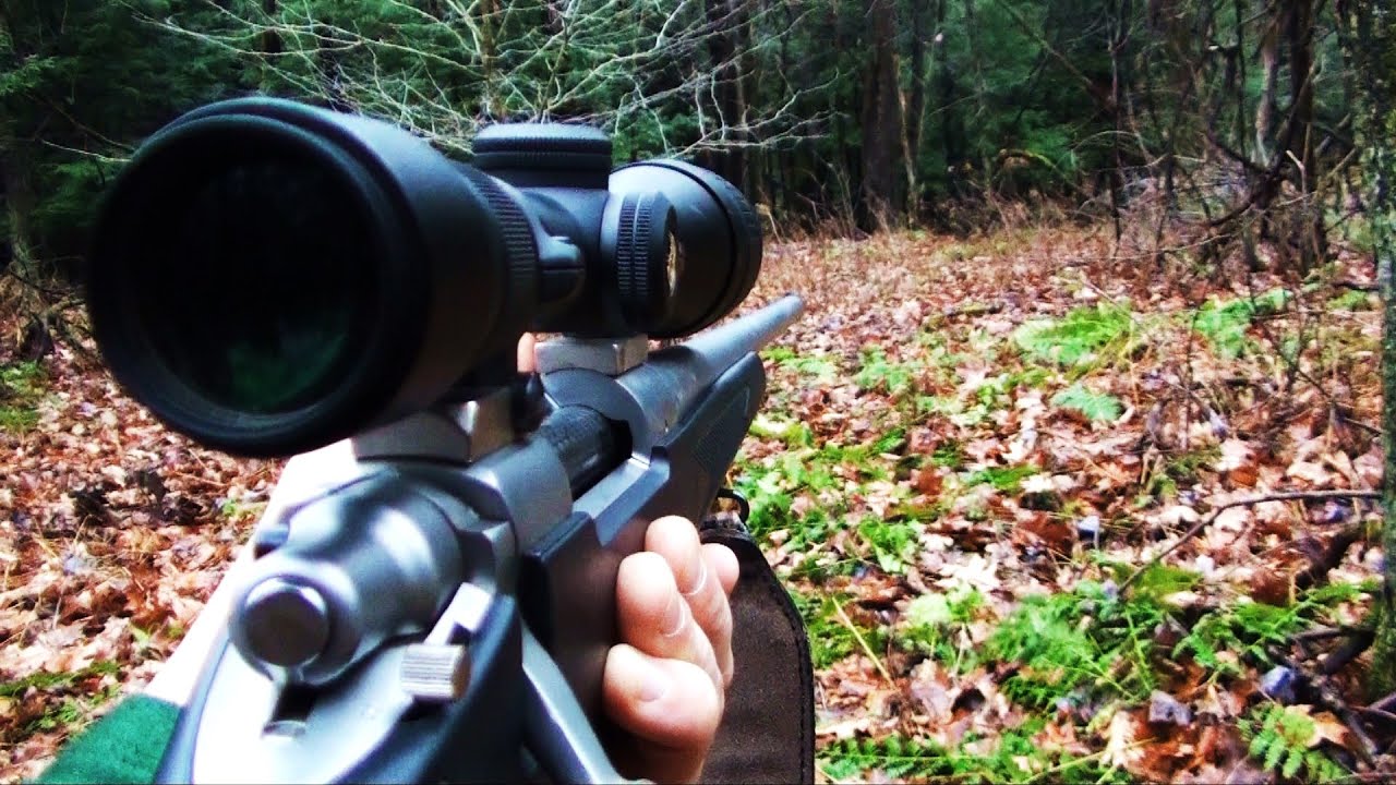 shooting in dc Deer Hunting Buck Season Pennsylvania 2014- Hunting Pressured Whitetails - John #2