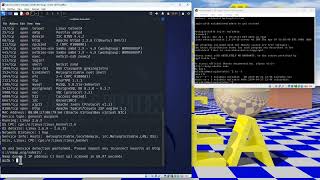 Penetration and Vulnerability Testing