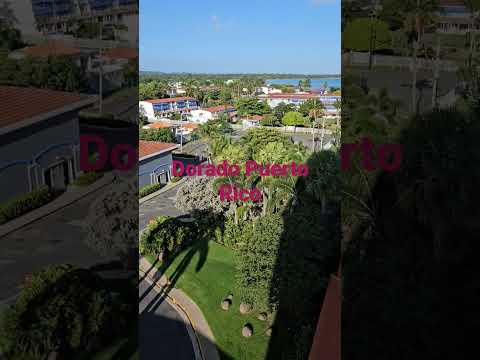 Menú Dragon Fest - Hollywood Constitución #Casino