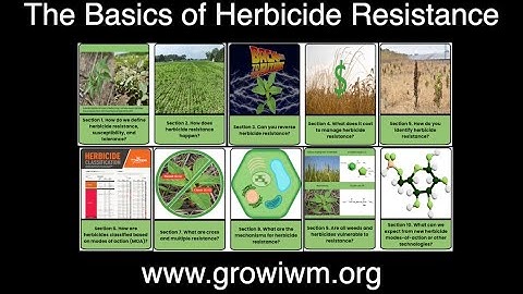 Introduction to the Basics of Herbicide Resistance