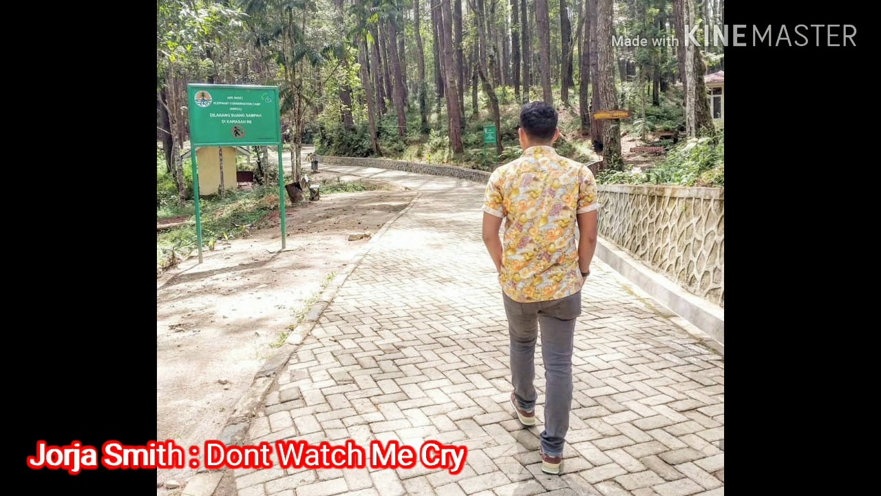 Lirik Dont Watch Me Cry : Lirik Lagu Jorja Smith - Don't Watch Me Cry
