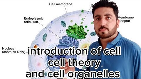 basic introduction of cell,cell theory and cell organelles in detail. simple pashto.ILAM RANRA DA
