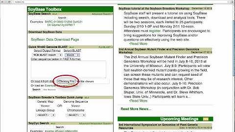How to perform a quick search of the SoyBase database