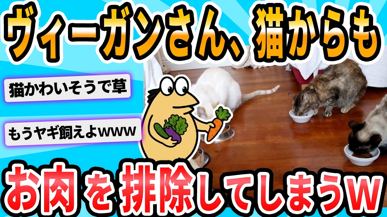 【2ch面白いスレ】お肉嫌いなヴィーガンさん、飼い猫の餌からもお肉を排除