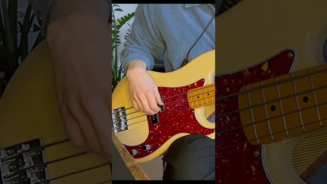 #nujabes #ladybrown #basscover #fender #bassist #bassplayer #precisionbass #pbass #cover