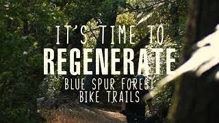 Regenerate: Blue Spur Forest Biking Trails