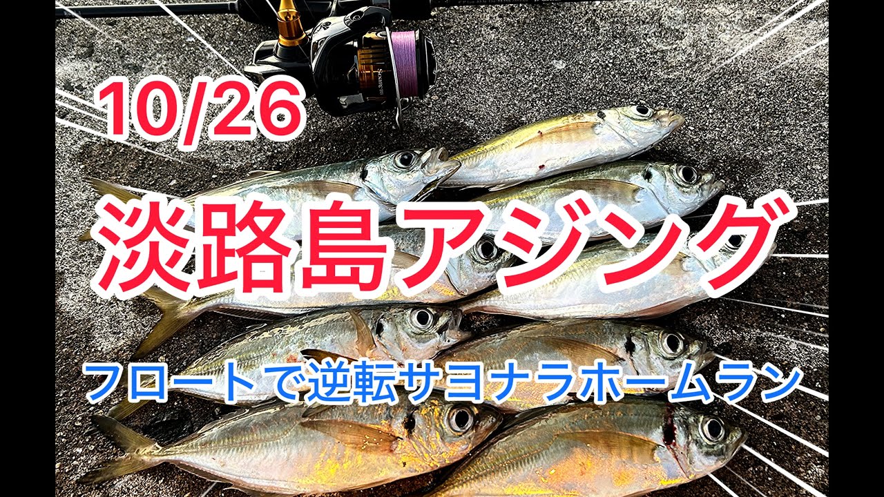 10 26淡路島アジング
