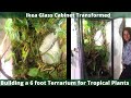 Building a 6 Foot Terrarium for Tropical Plants using the IKEA Glass Cabinet | Rare Philodendron