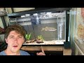 Feeding Time With My NEW Rescue Pet LARGEMOUTH BASS (1 Week Update)