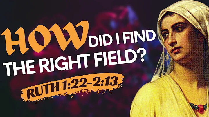 How Did I Find the Right Field? - Ruth 1:22-2:13
