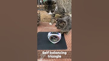 super cool self-balancing robot gadget 😎 #shorts