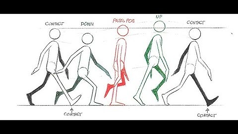 Nguyên tắc 9 - Diễn hoạt ngẫu hứng và Có kế hoạch | Xuan Sang Animation