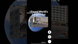😶🌫️😱I Found World Largest cat on google map🗺️#shots #trending #scary #map #explore