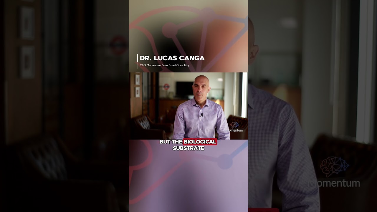 What Is Applied Neuroscience? Practical Brain Science Made Simple