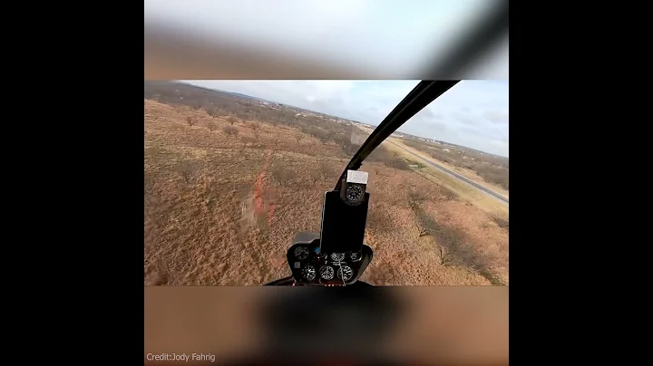 Hunting pigs from helicopter gone wrong #shorts