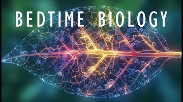 The Secret Intelligence of Plants | Science To Sleep To