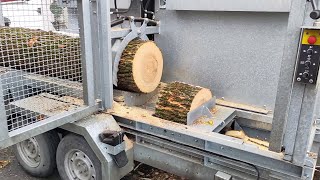 Sägespalten Am Größenlimit