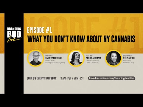 What You Don't Know About NY Cannabis - Branding Bud Live - Episode 1