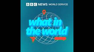 Degrowth explained: A radical idea for a sustainable future - BBC World Service