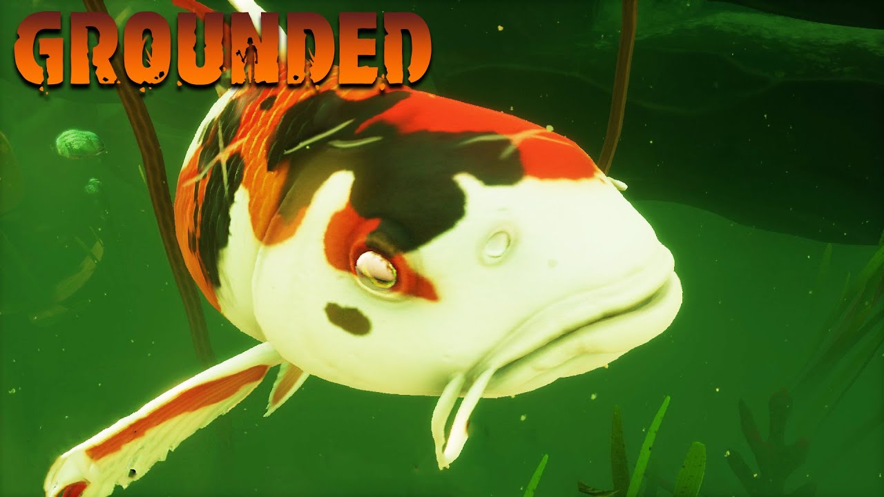 ITS TIME TO DESTROY THE KOI FISH | Grounded | Public Test Branch Ep.2