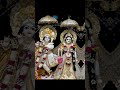 Where Is Happiness?, Bhagwatgita,Shri Krishna,#youtubeshorts,#motivational,#staypositive,#viral