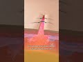 How Stitches Work #trending #zachdfilms #viralvideo