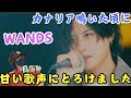 【WANDS】まさかのアプローチ!!ミディアムバラードに酔いしれる!!!「カナリア鳴いた頃に」 MV リアクション!!️