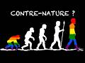 Homosexuality In Animals Origin And Evolution