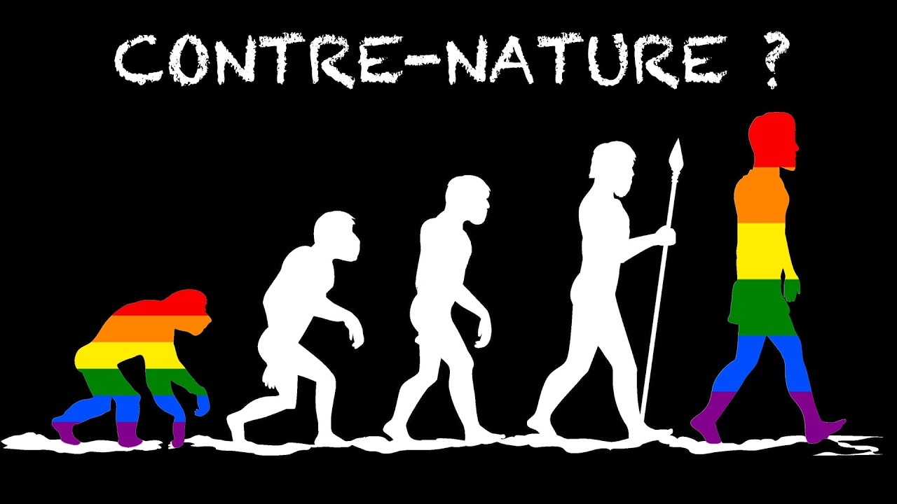 L’homosexualité chez les animaux: Origine et évolution