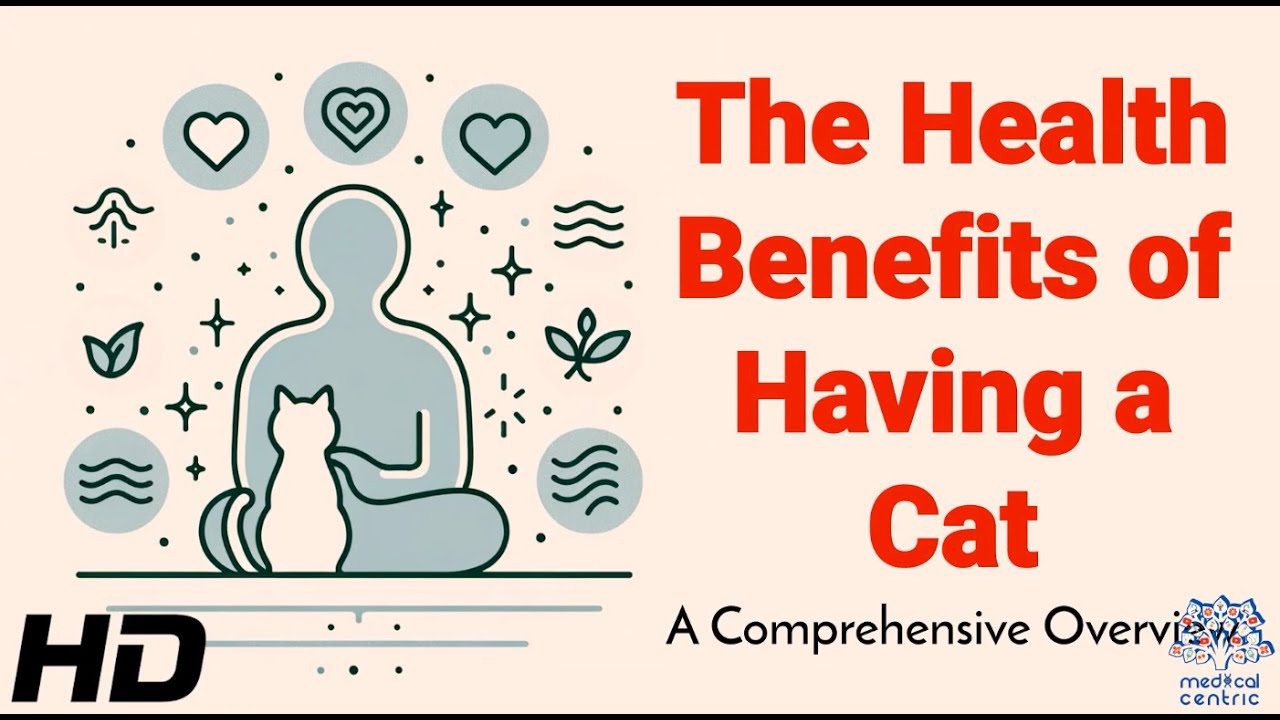 Can Cats Improve Your Health? What Science Says! Can Cats Improve Your Health? What Science Says!