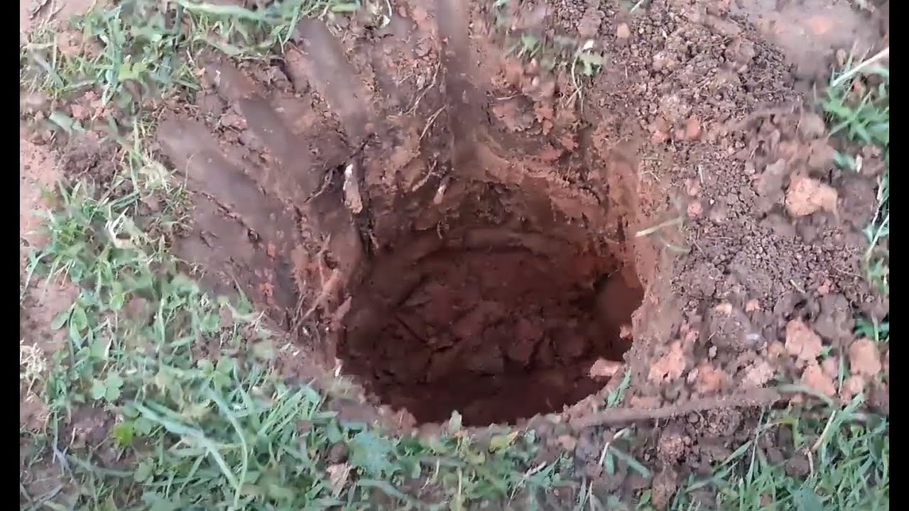 Как сажать растения на болоте в сложный глиняный грунт.