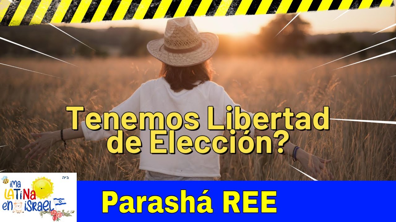 Libertad de Elección. Parasha REE #israel #culturajudia #tradiciones # ...