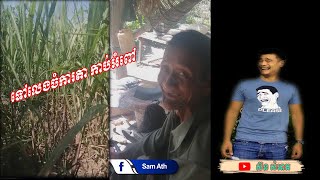 ទៅកាប់អំពៅនៅចំការតា ស៊ឹង Part 01