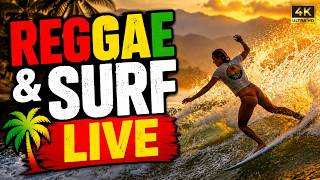Reggae Nacional Ao Vivo 🎤 1 Hora de Live Vibes na Praia de Ubatuba [Immersive 4k] | Ubatuba