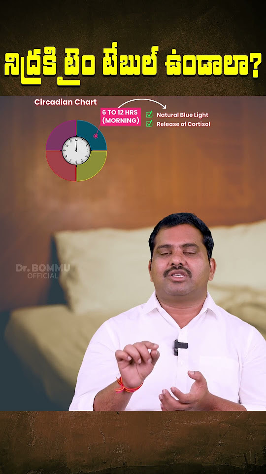 circadian-rhythm-explained