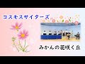 みかんの花咲く丘(コスモスサイターズ)