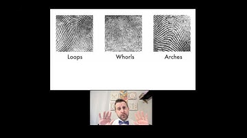 A Whole New Whorl (Science Parody of "A Whole New World")