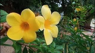 DJ BREAKBEAT FULL BASS SPESIAL !!! Sakit Sungguh Sakit !!